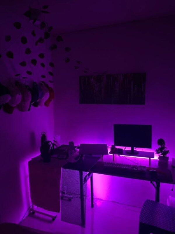 LED Strip 5M