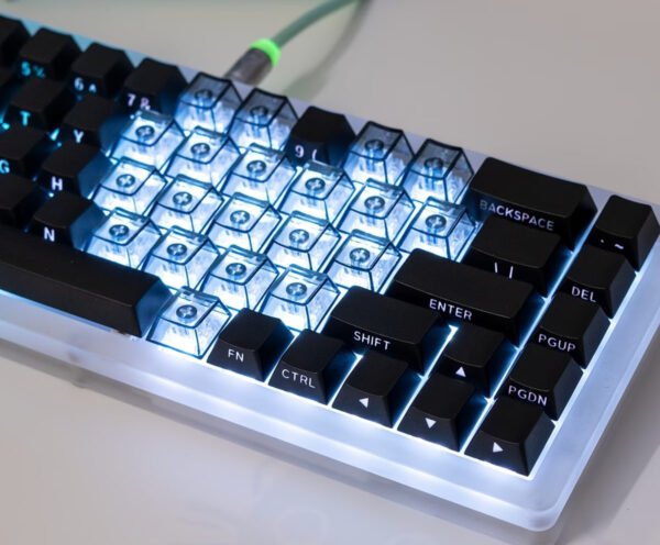 Keycaps white & transparent  (21 pcs)