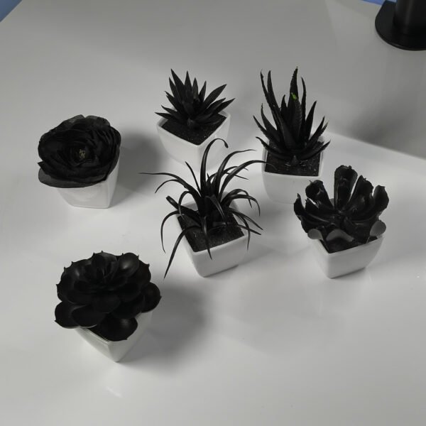 6 pcs Artificial Potted Plants (white/black)