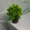 4 pcs Artificial Potted Plants (black/green)