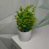 4 pcs Artificial Potted Plants (white/green)