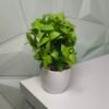 4 pcs Artificial Potted Plants (white/green)