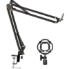 Microphone Stand with shock mount