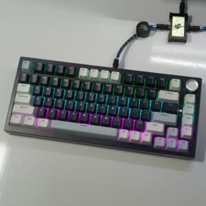 JEDEL KL81 (black/blue)