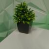 4 pcs Artificial Potted Plants (black/green) (pot carré)