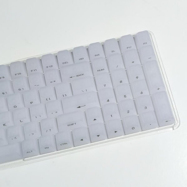 White Shiny keycaps